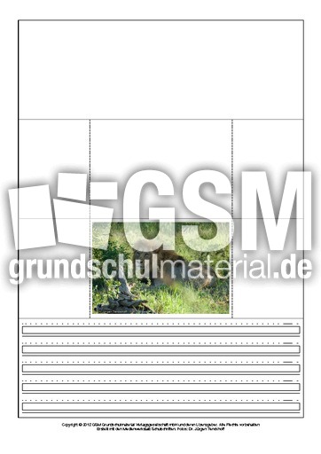 Popup-Buch-Löwe-1-8.pdf